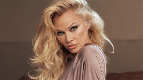 are pamela andersons boobs fake